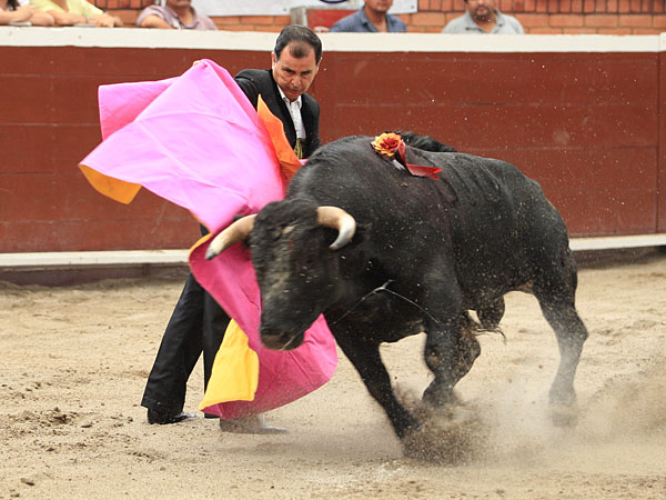 Eloy Cavazos, de nuevo en p�blico