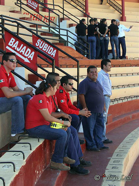 Saulo supervisando todo