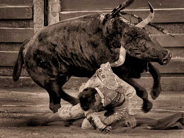 Estuvo en real peligro