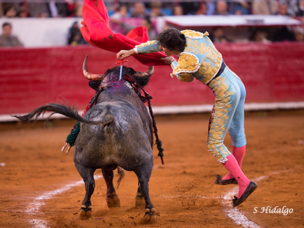 Media en todo lo alto