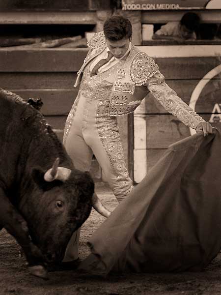 Mostrando cualidades