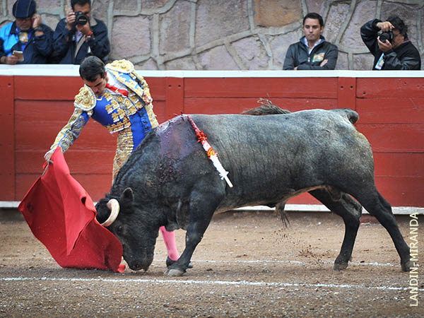 Met�a la cara con calidad