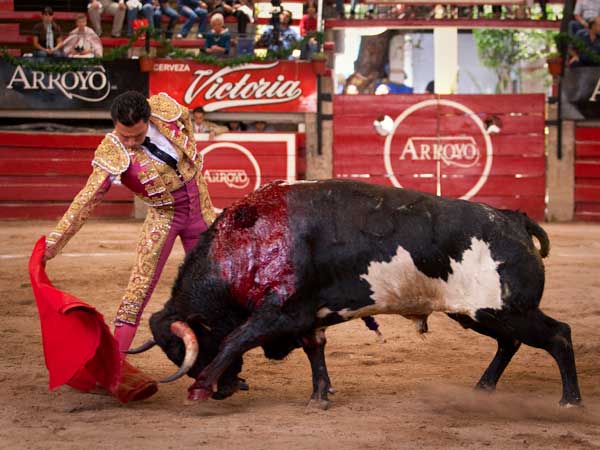 Siempre con firmeza Christian