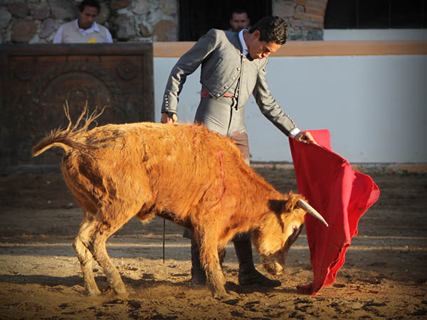 Mandando al colorado