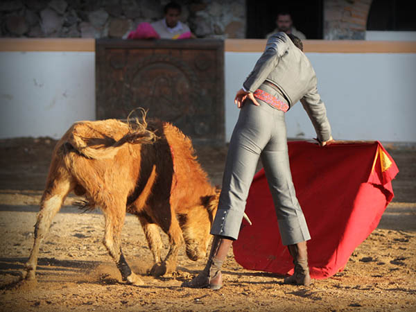 Suavidad de terciopelo