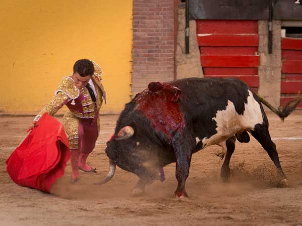 As� hay que someterlos