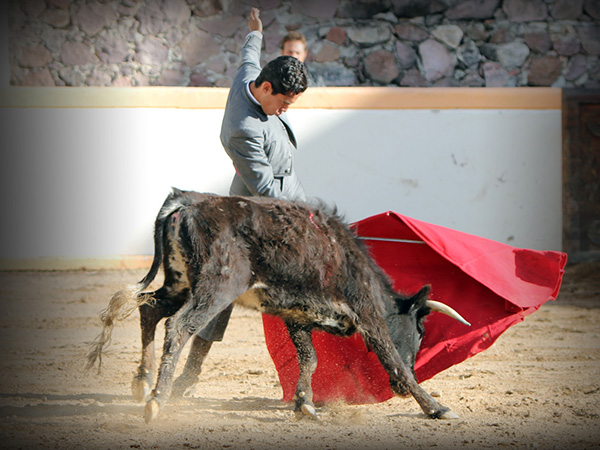 Filigrana en la muleta