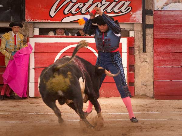 Le cort� el viaje a Campos