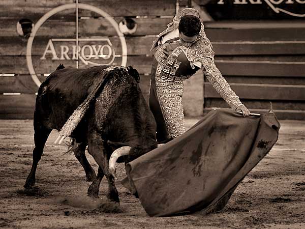 Terso, el pase natural