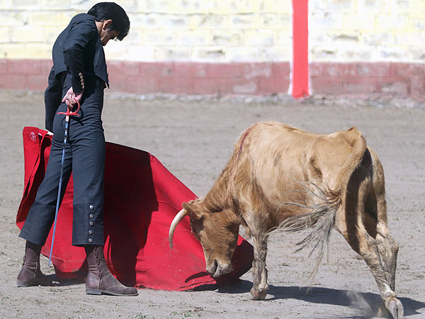 Saboreando la bravura