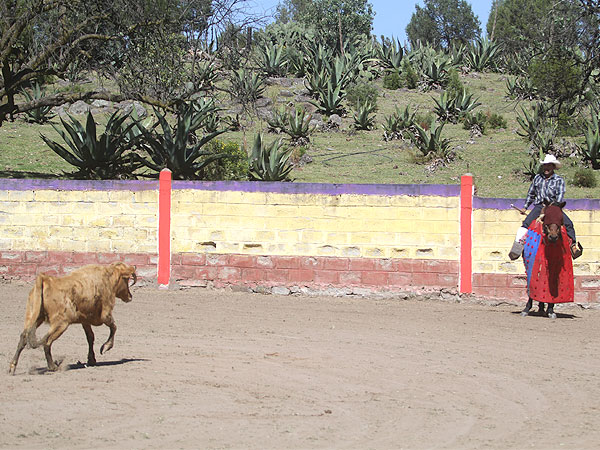 Todas arrancaron de largo