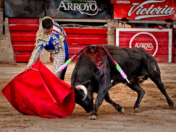 Muy t�cnico anduvo Chava