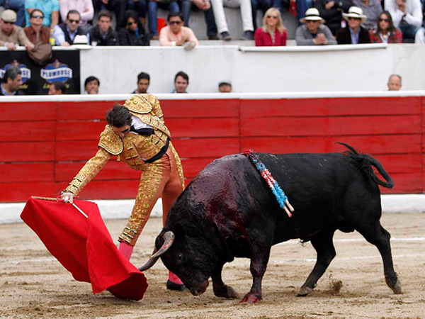 Acompa�ando, a media altura