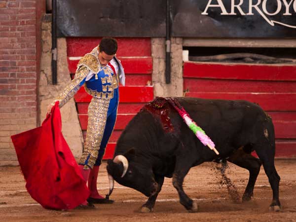 Se notan los avances de Salvador