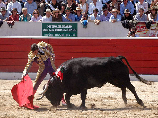 Conjuncci�n de toro y torero