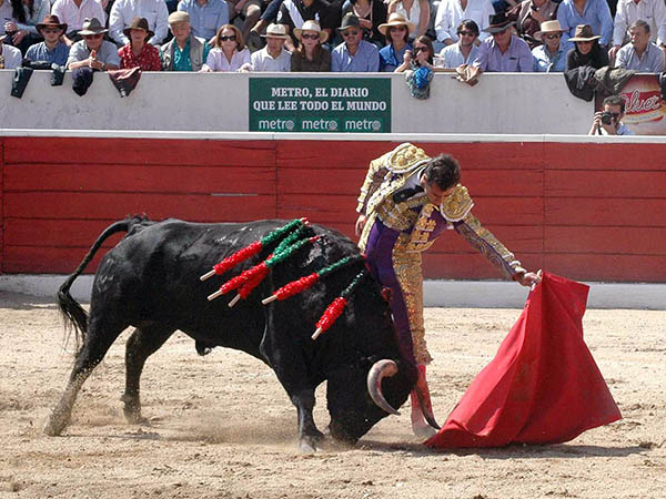 Hizo vibrar de emoci�n