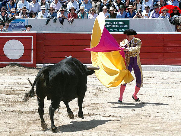 El Zapopan lleg� hasta Granada