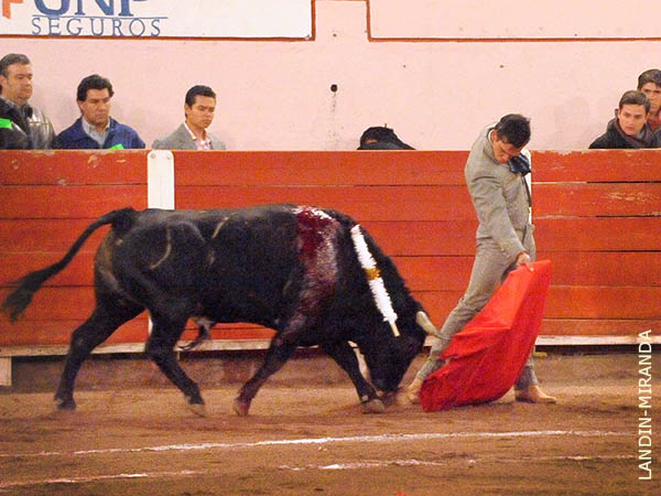 Faena de corte cl�sico