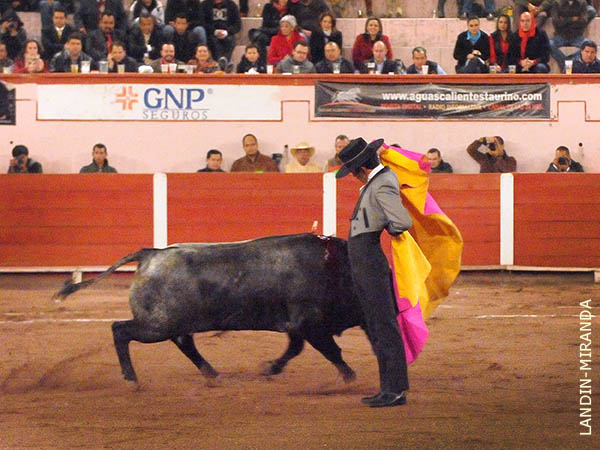 Caleserinas en los medios