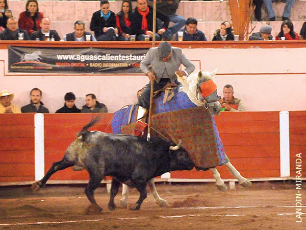 Empujando en el peto