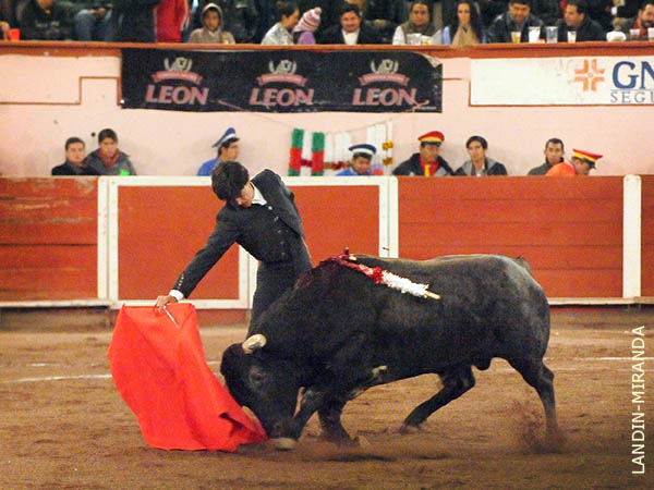 Recorrido del ejemplar