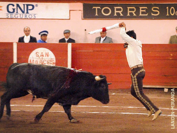 Banderillas de Luis Alc�ntar