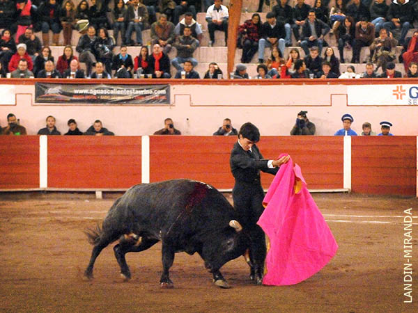 Lucido en las tafalleras en redondo
