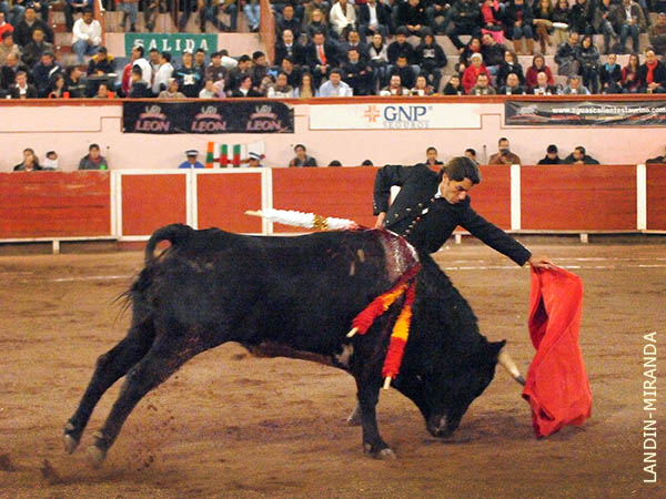 Al natural en los medios