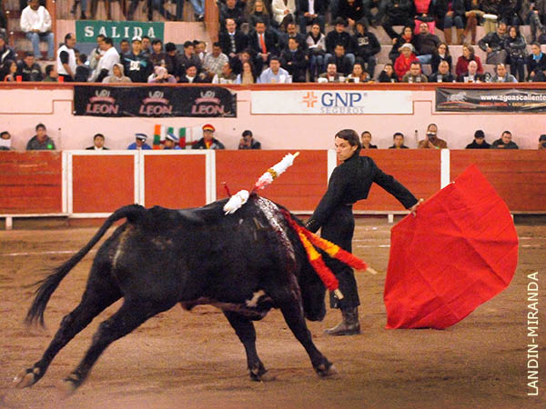 Emoci�n en la muleta