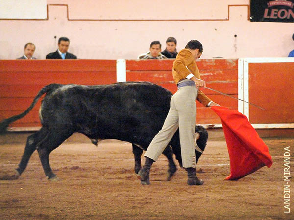 Cl�sico contempor�neo