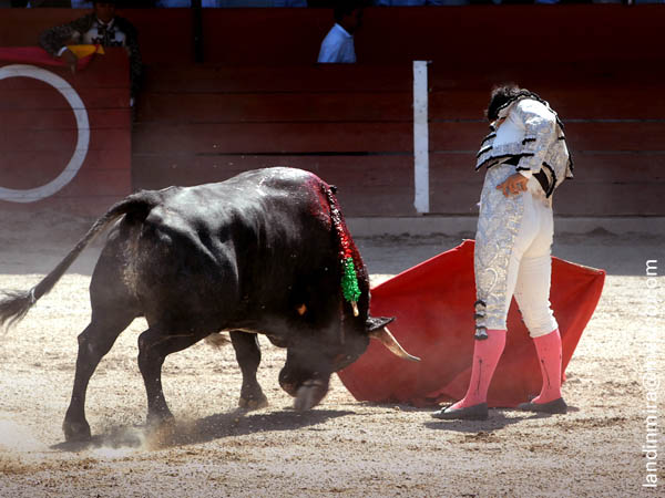 Tirando del ejemplar