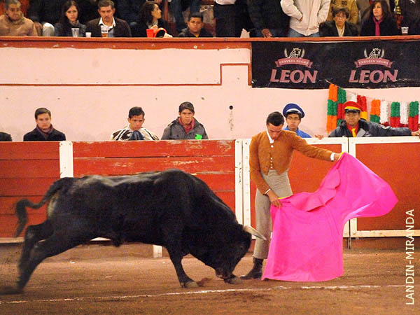 Se present� Mat�as Tejela