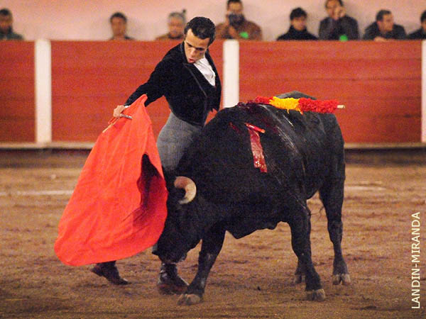 Temple de vuelta entera