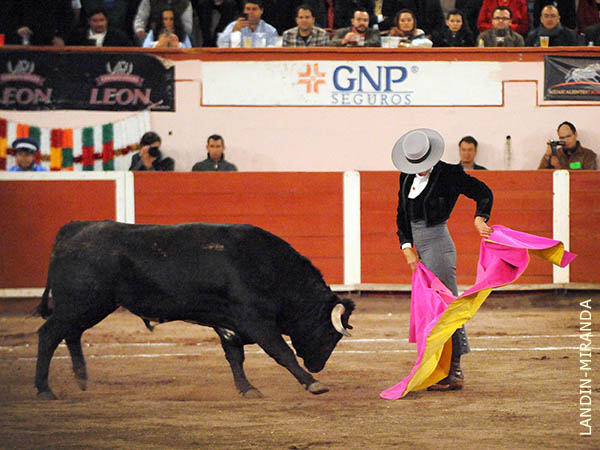 La media alcorconera