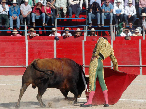 Mostr� m�s car�cter y entrega