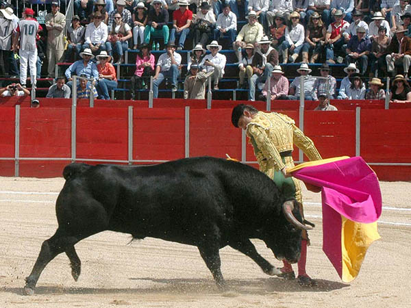 Destac� en el capote