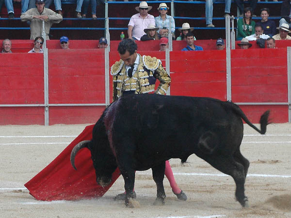 La faena fue de m�s a menos