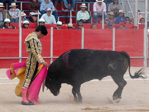 Las chicuelinas de Fandi�o