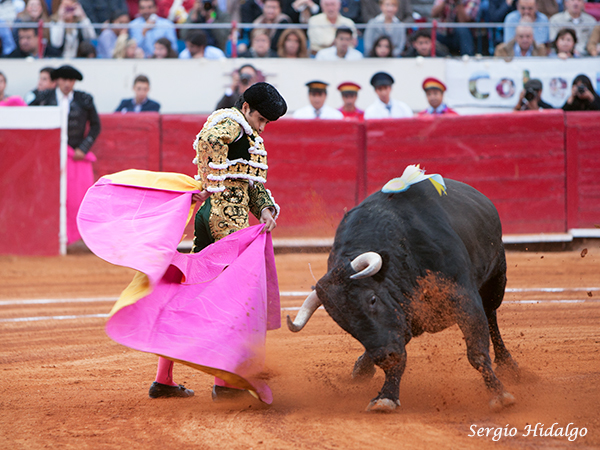 Joselito Adame, arrollador