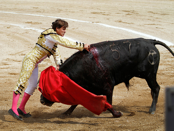 Estocada de excelente ejecuci�n