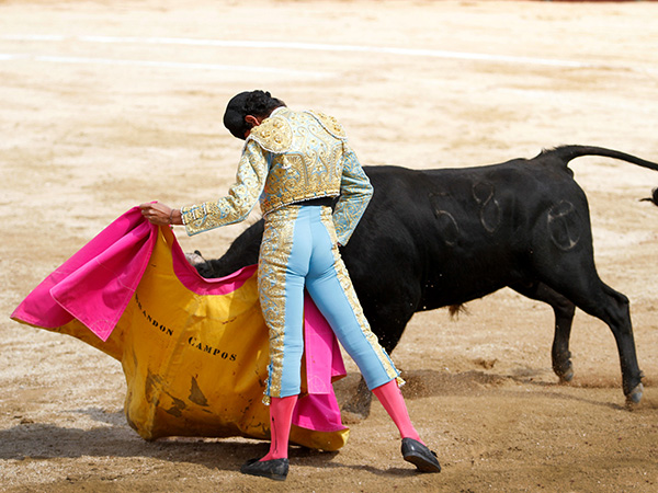 Buen quite por ver�nicas al segundo