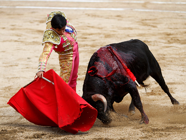 Como una lidia a puerta cerrada