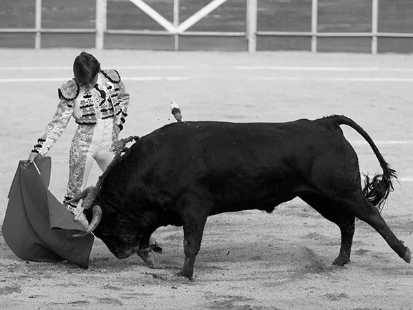 Pasajes que calentaron el ambiente
