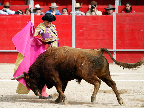 Demostr� su facilidad capotera