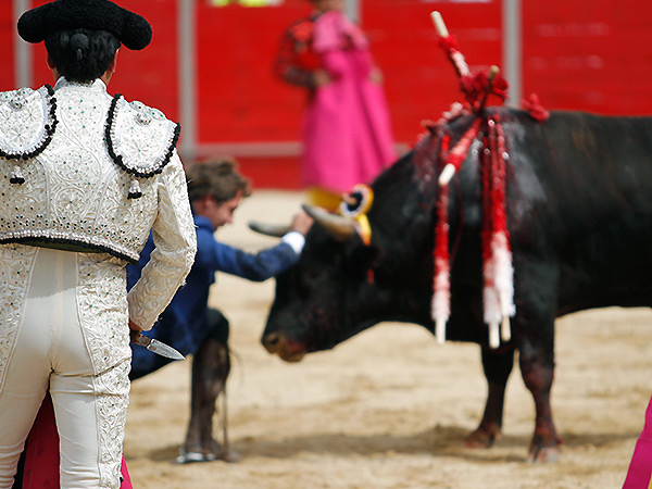 Desplante, entre capotes