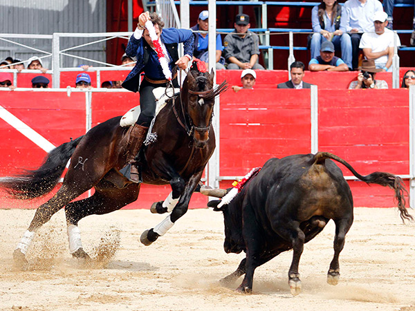 �gil batida de Hermoso