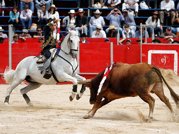 Haciendo las cosas con clasicismo