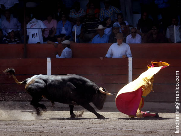 Barba recibe al cuarto