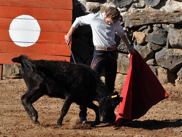 Expresi�n pl�stica