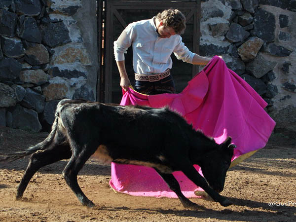 El Payo a la ver�nica